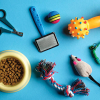 Pet Equipment